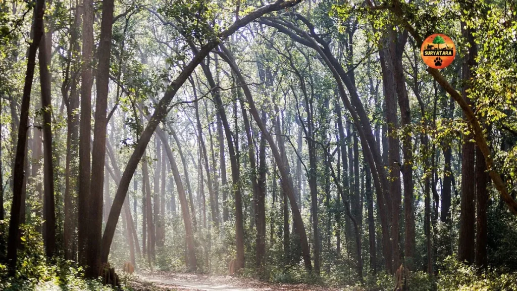Jim Corbett National Park Ticket Price