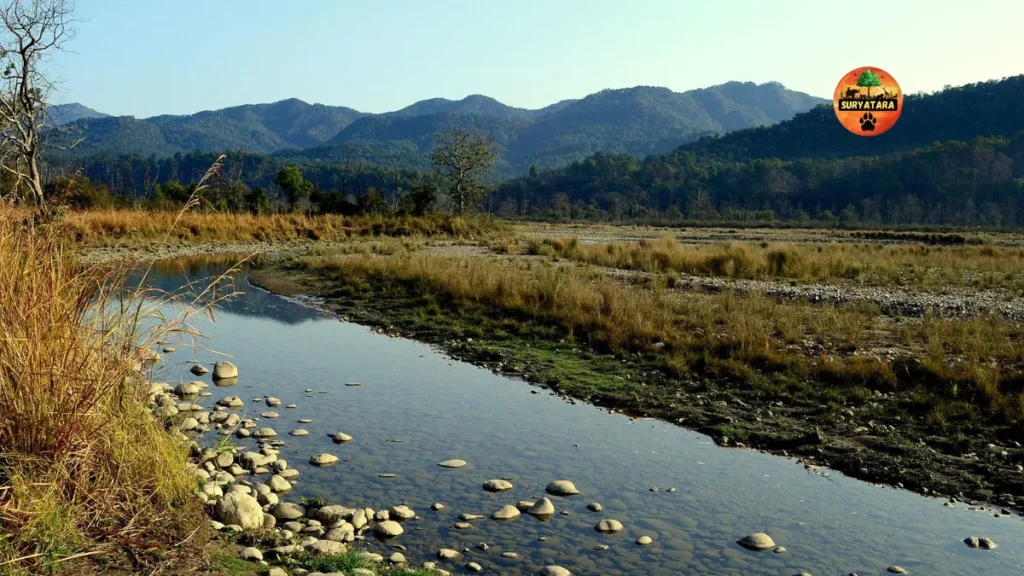 Jim Corbett National Park Ticket Price