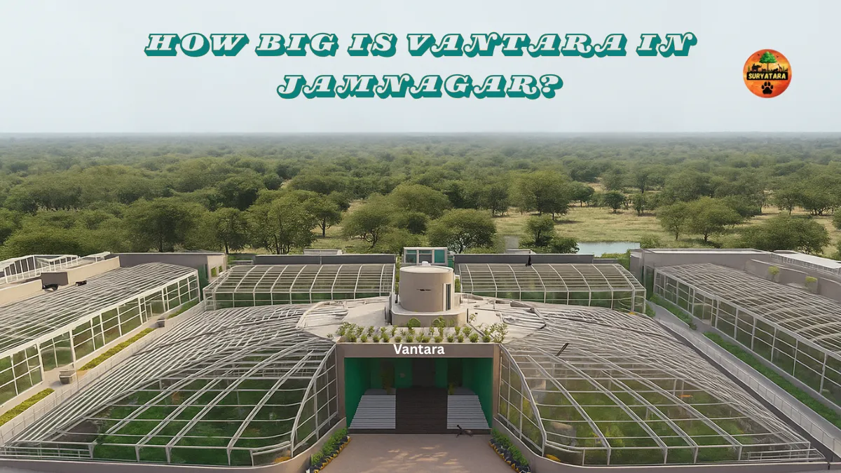 How Big is Vantara in Jamnagar