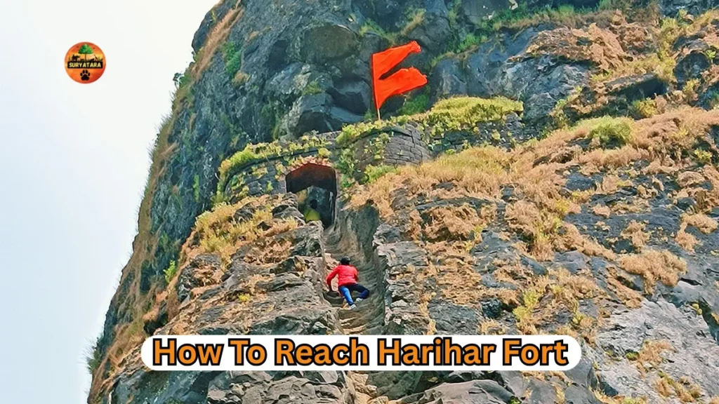How To Reach Harihar Fort