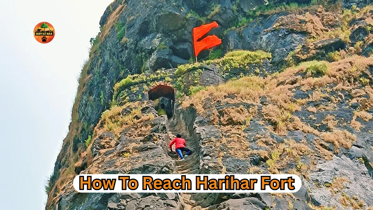 How To Reach Harihar Fort