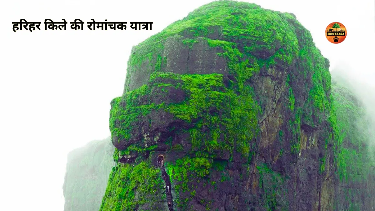 Trekking on Harihar Fort