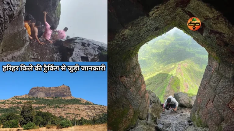 Information To Harihar fort Trek