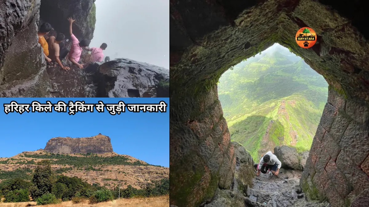 Information To Harihar fort Trek