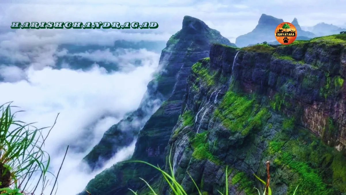 Harishchandragad Trek