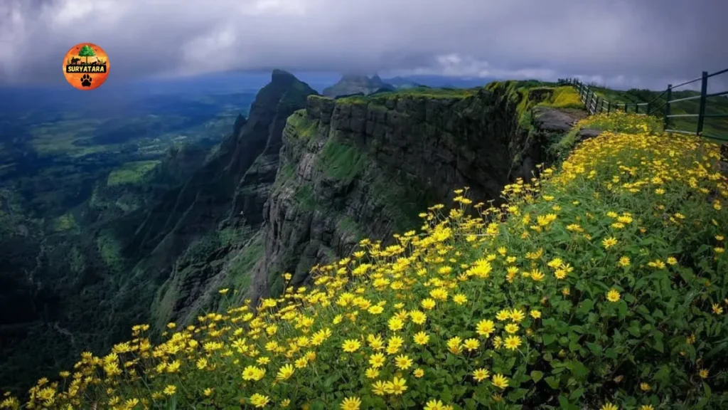 Trekking on Harihar
