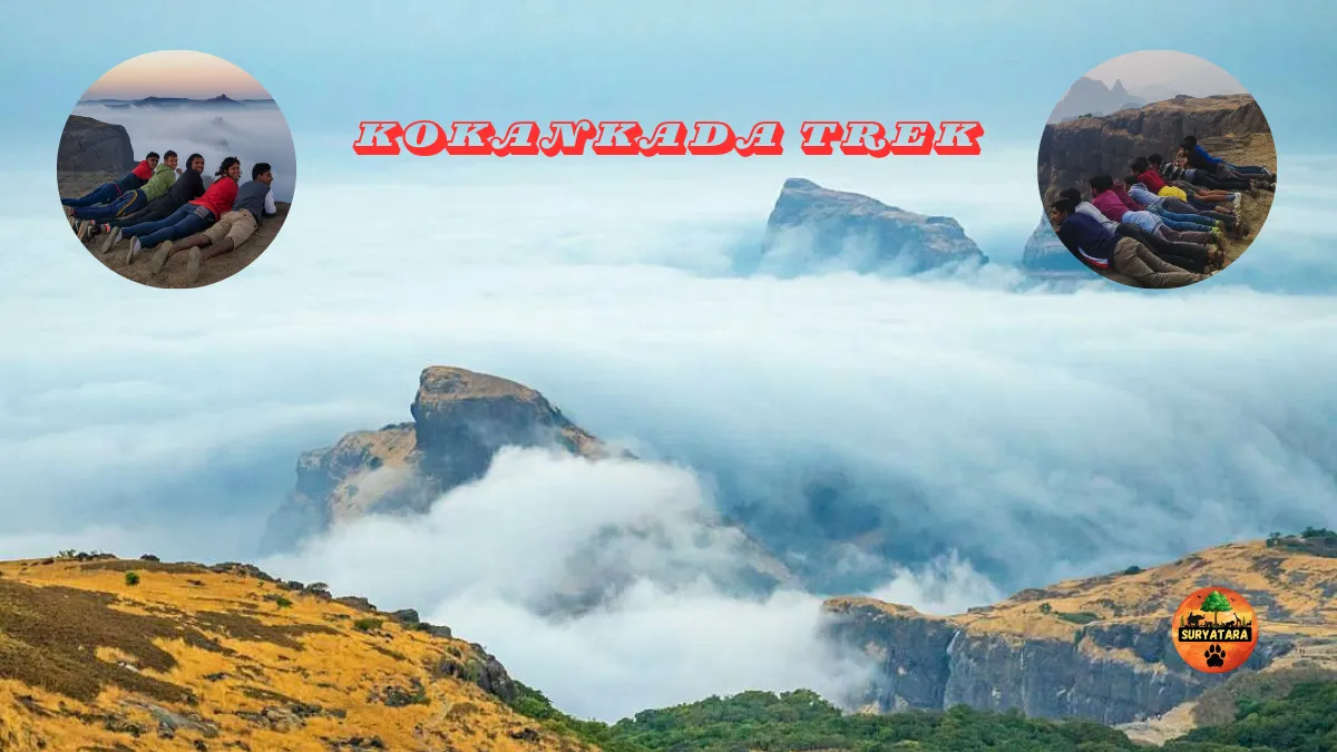 Kokankada Trek