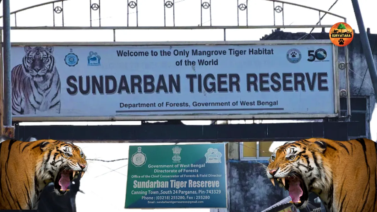Sundarban Tiger Reserve