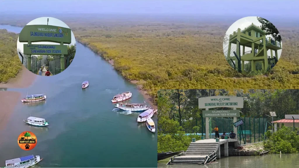 Sundarban Tiger Reserve