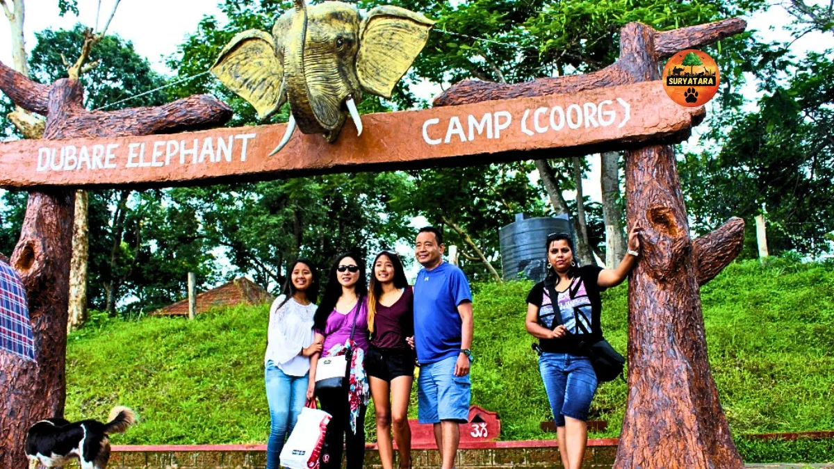 Dubare Elephant Camp Timings and Entry Fee