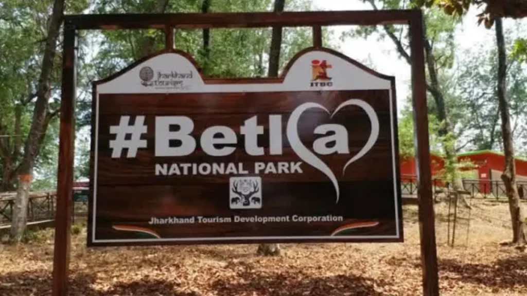 Tiger Safari in Betla