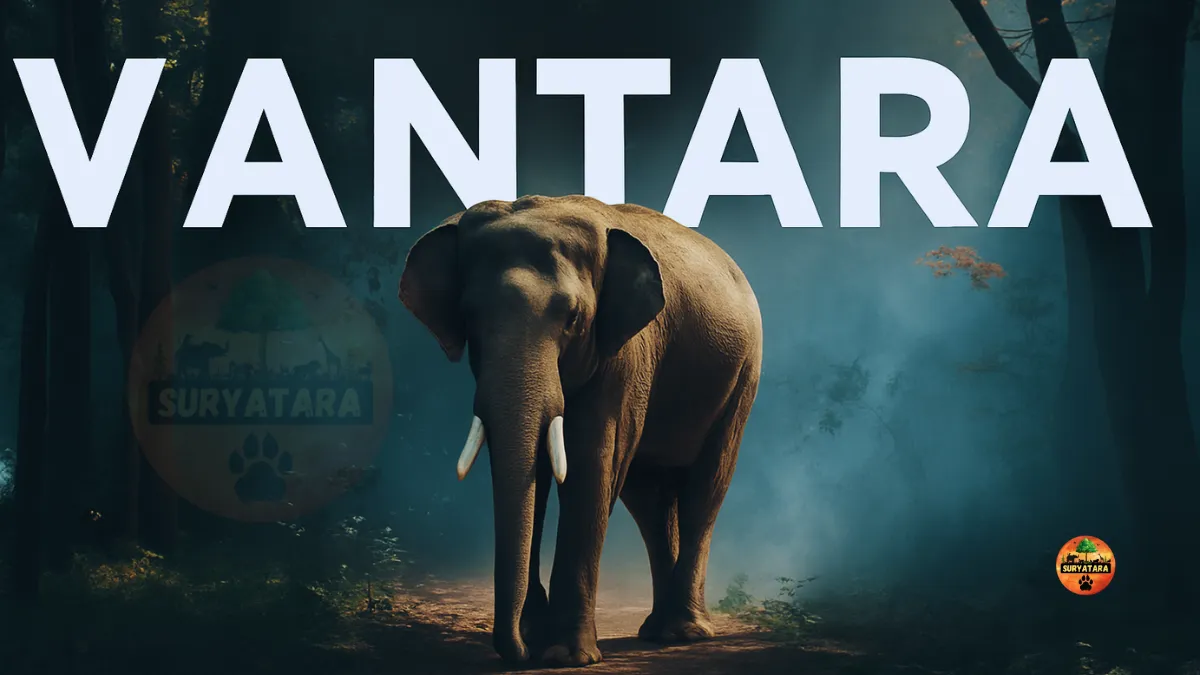 Vantara