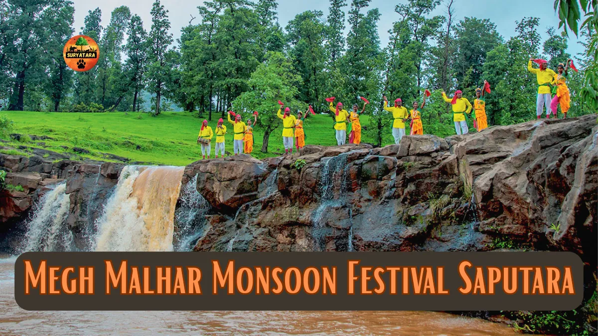 Megh Malhar Monsoon Festival Saputara