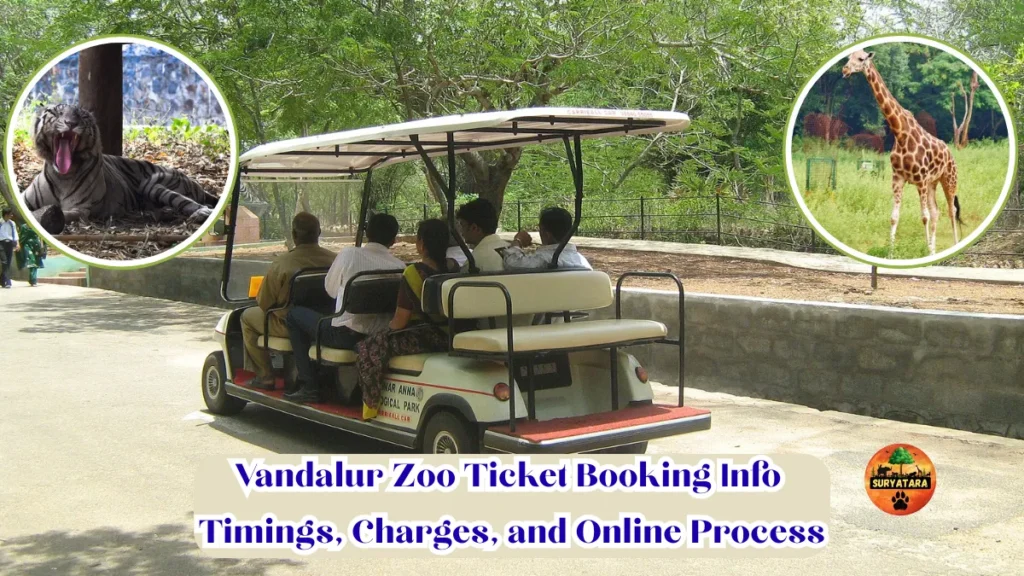 Vandalur Zoo ticket booking