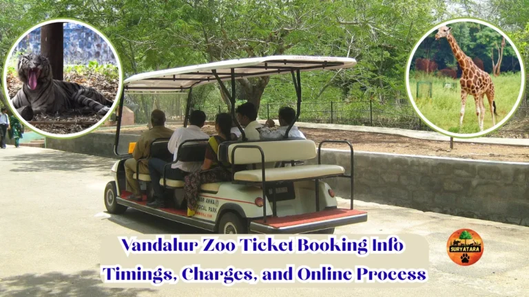 Vandalur Zoo ticket booking