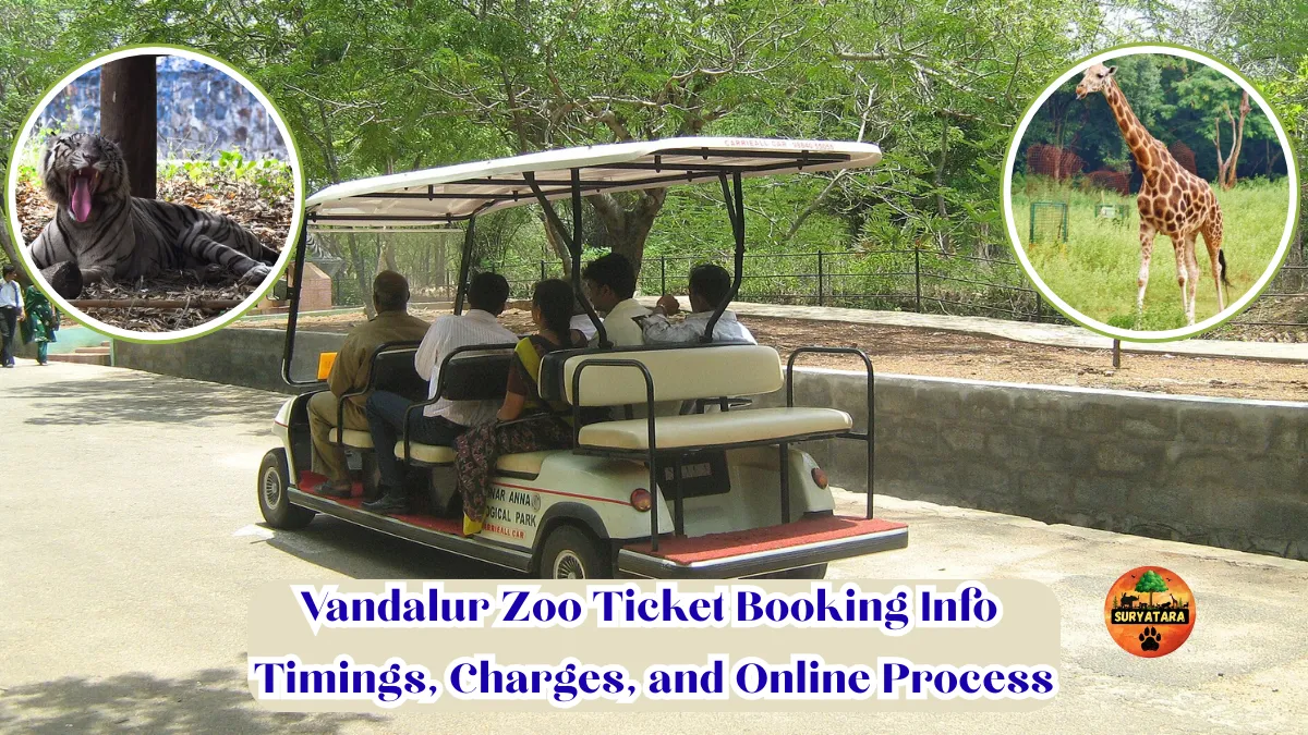 Vandalur Zoo ticket booking