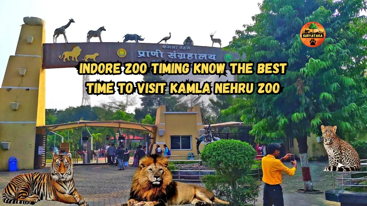 Indore zoo timing