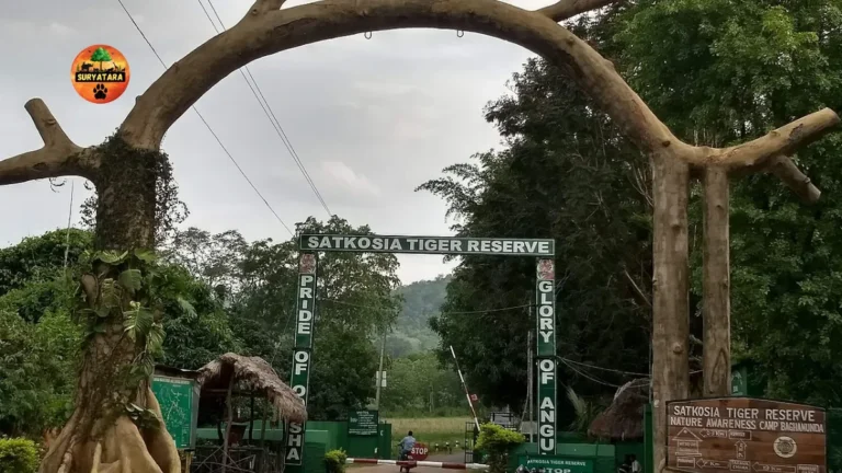 Satkosia Tiger Reserve