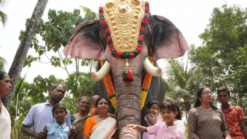 Robotic Elephants