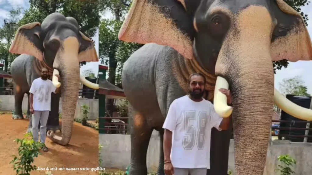 Robotic Elephants