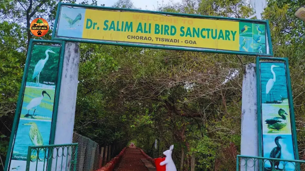 Salim Ali Bird Sanctuary
