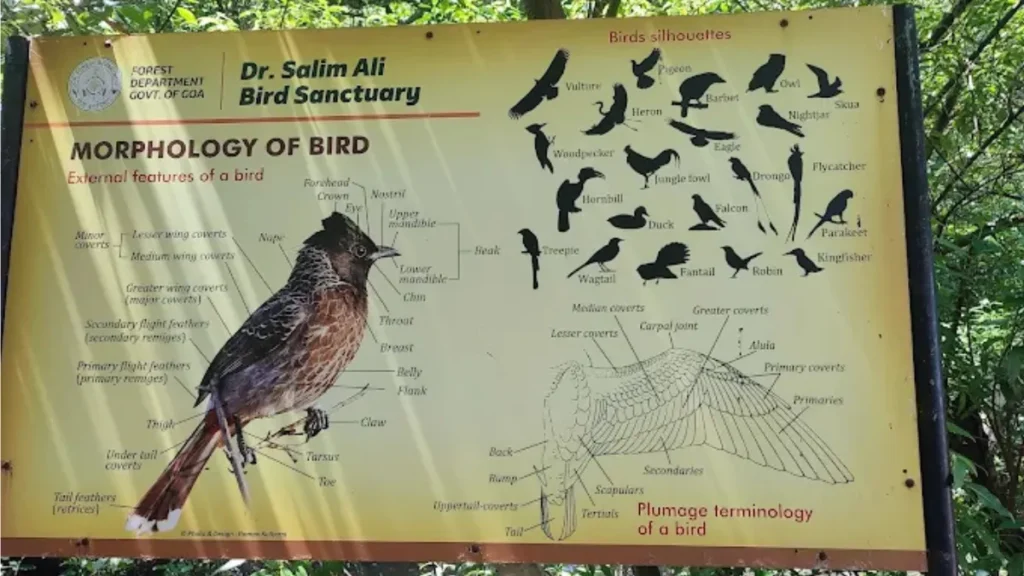 Salim Ali Bird Sanctuary
