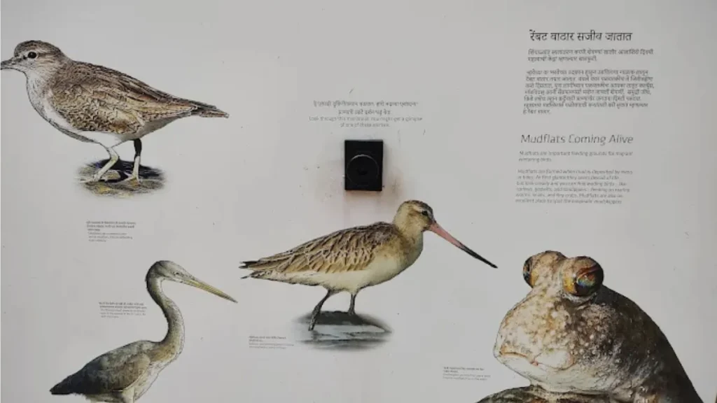 Salim Ali Bird Sanctuary