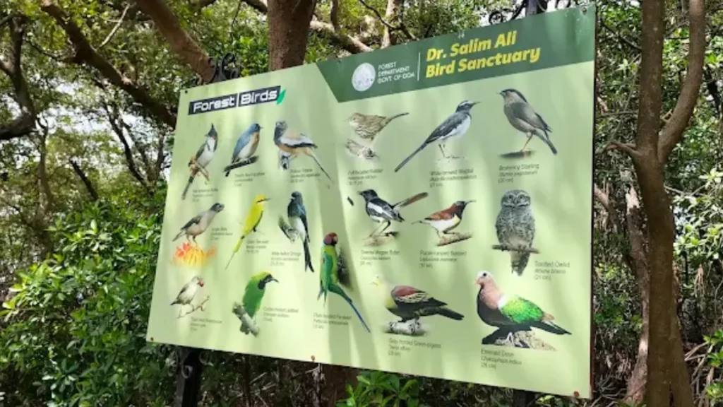 Salim Ali Bird Sanctuary