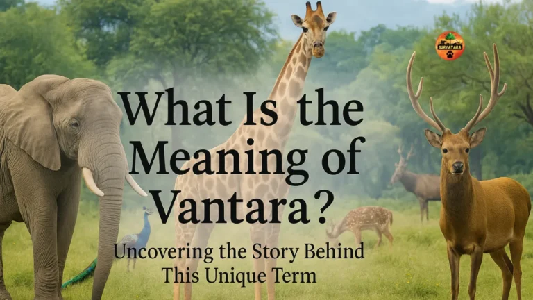 What Is the Meaning of Vantara