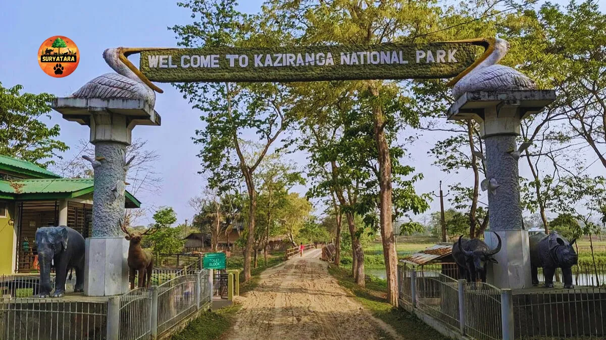 Kaziranga National Park