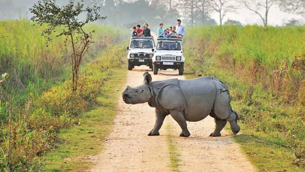 Kaziranga National Park