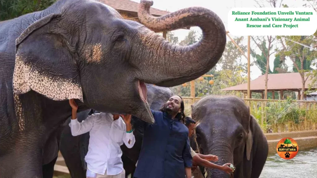 Reliance Foundation Unveils Vantara