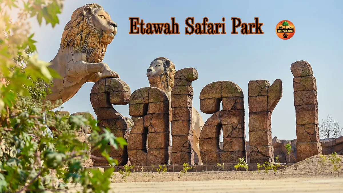 Etawah Safari Park