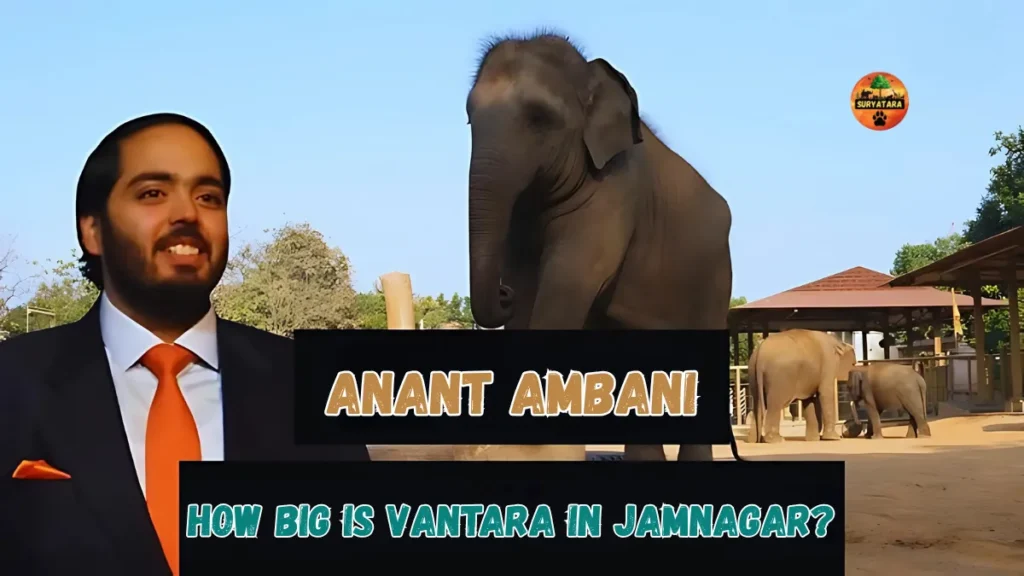 How Big is Vantara in Jamnagar?