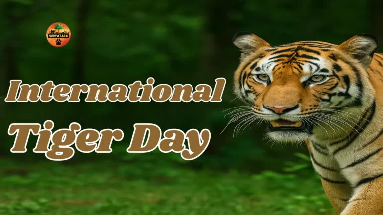 International Tiger Day