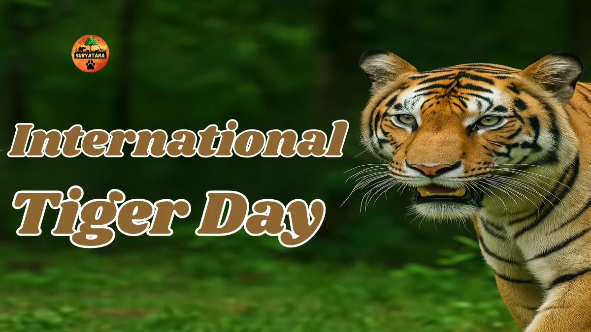 International Tiger Day
