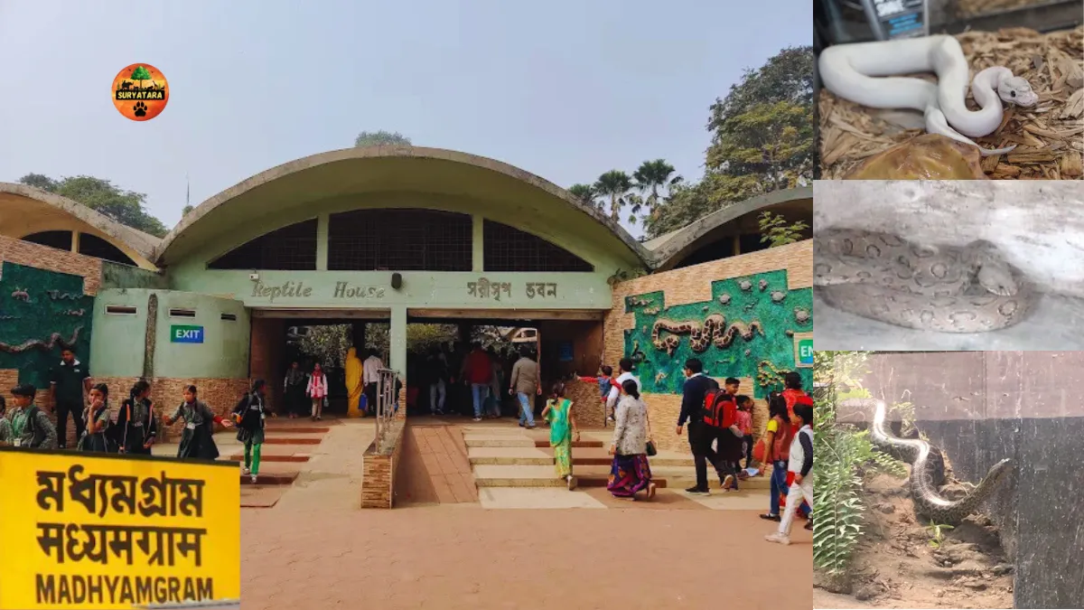 Calcutta Snake Park at Badu