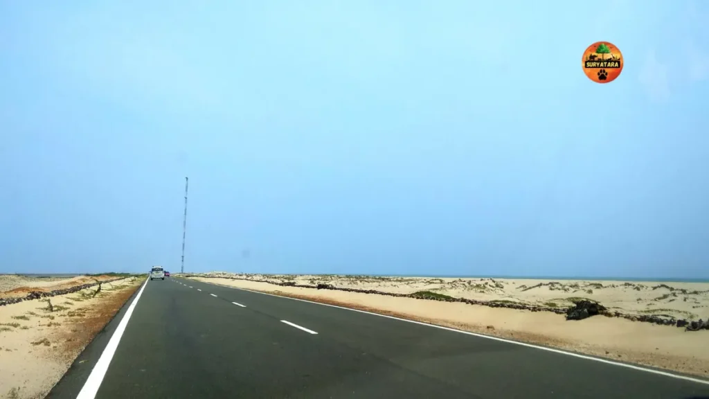 Dhanushkodi Beach