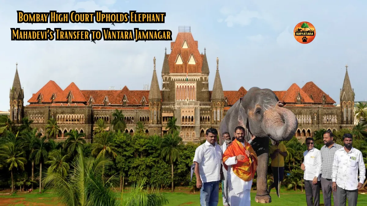 Vantara Jamnagar