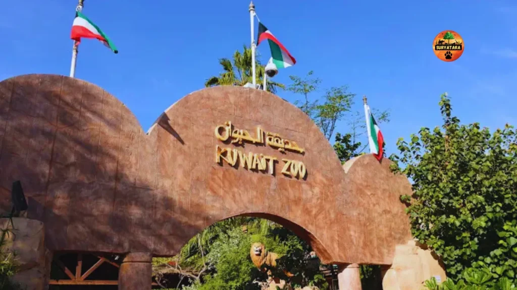 Kuwait Zoo-Timings-Ticket Price-and Location