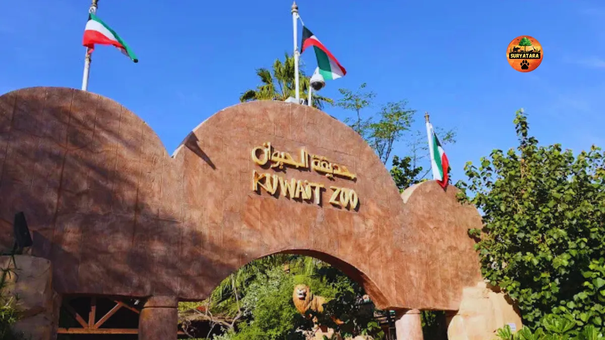 Kuwait Zoo-Timings-Ticket Price-and Location