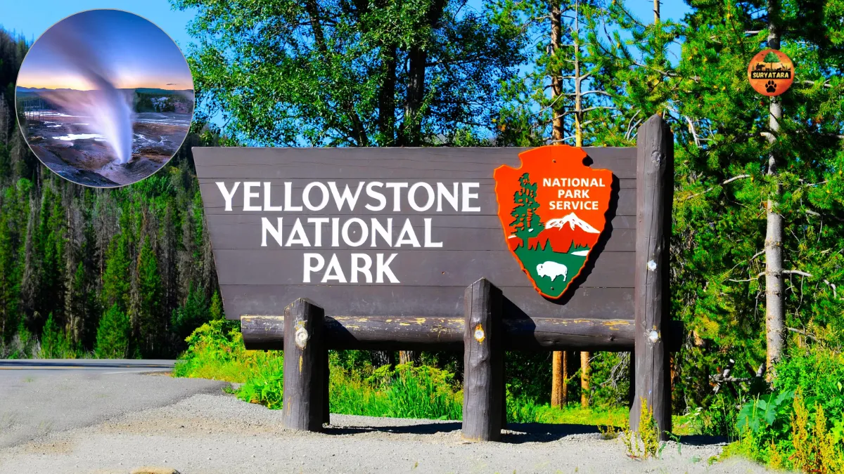 Yellowstone National Park