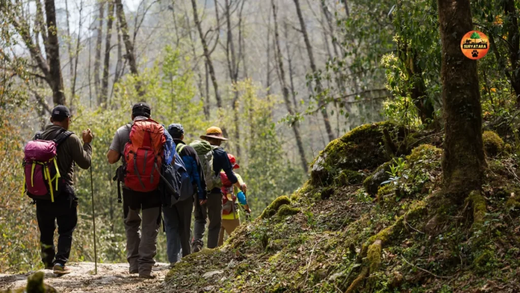 Eco-Friendly Wildlife Travel Gear