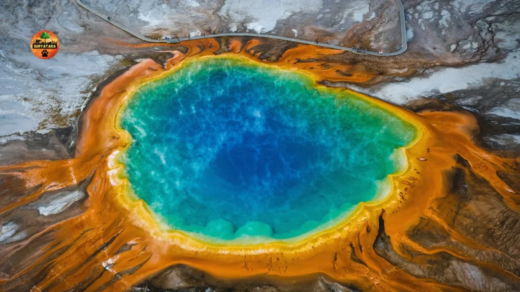 Yellowstone National Park Tickets