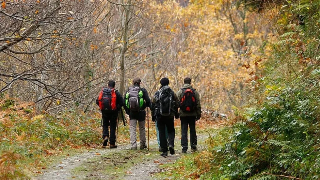 Eco-Friendly Wildlife Travel Gear