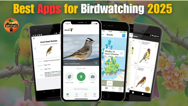 Best Apps for Birdwatching 2025
