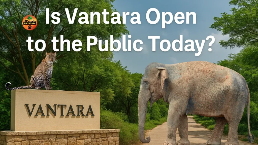 Is Vantara Open to the Public Today