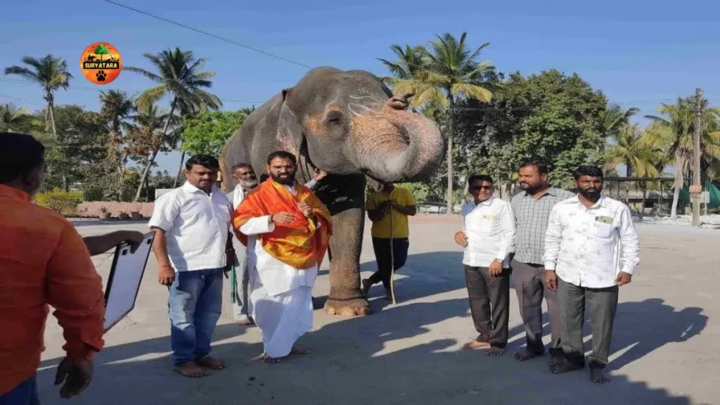 Madhuri Mahadevi Elephant