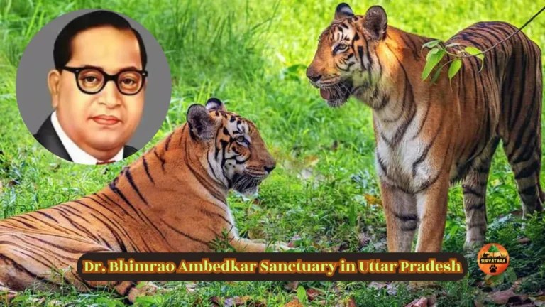 Bhimrao Ambedkar Sanctuary