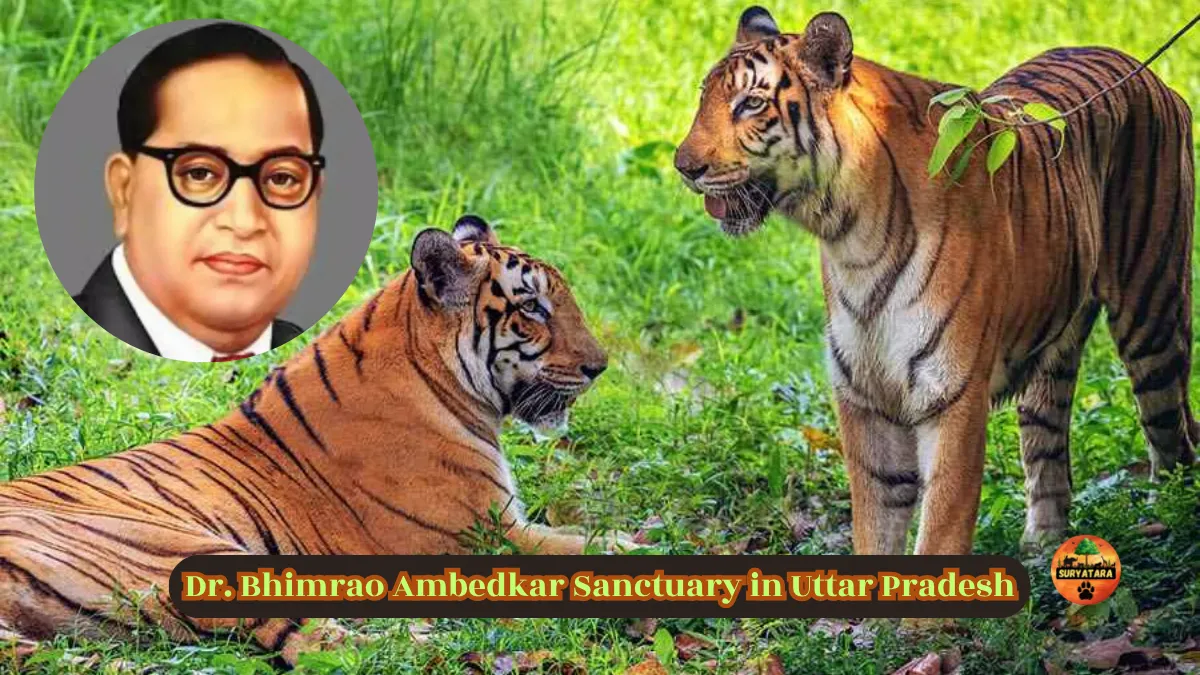 Bhimrao Ambedkar Sanctuary